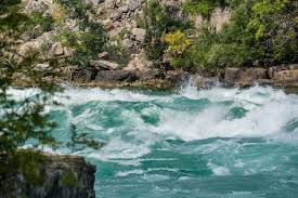 water in our life