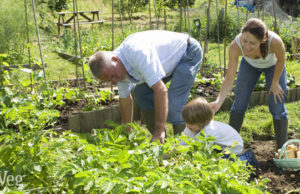 Gardening