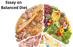 Essay on Balanced Diet