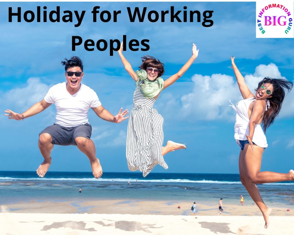 Holiday Essay For Beginners School Boys Girls