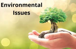 Environmental-Issues-essay