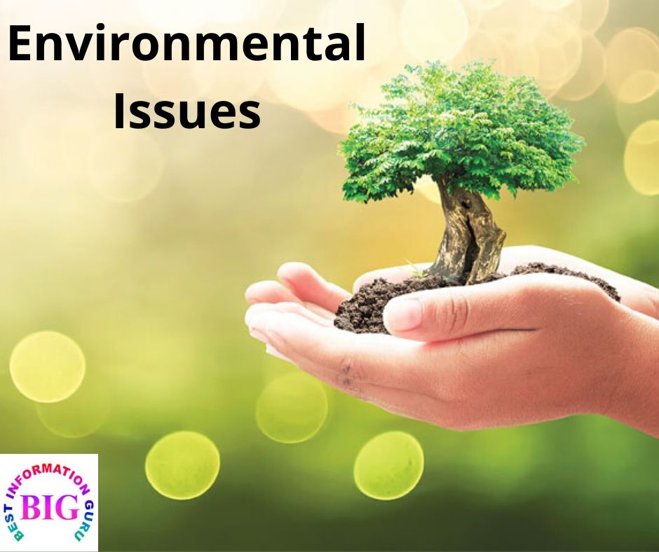 Essay on environmental issues